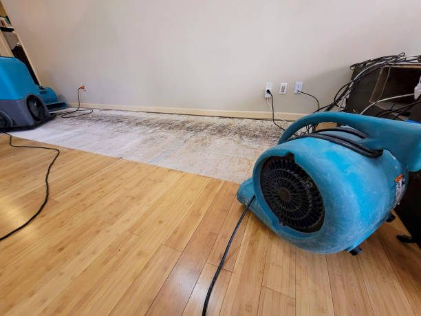 Professional Burst Pipe Water Damage technician working in Melcher-Dallas, IA